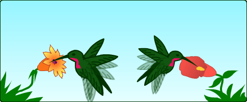 Hummingbird anim3.gif