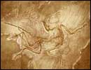 Archaeopteryx 130.jpg