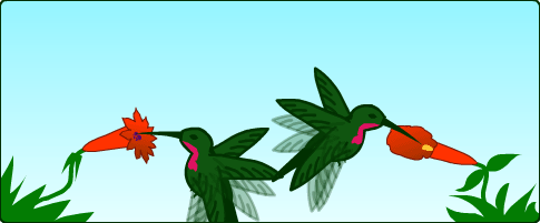 Hummingbird anim5.gif